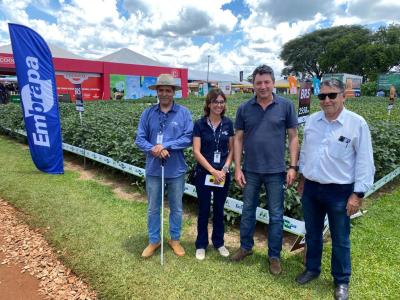 Fundação Meridional e Embrapa realizam lançamento de nova cultivar de soja no Show Rural 